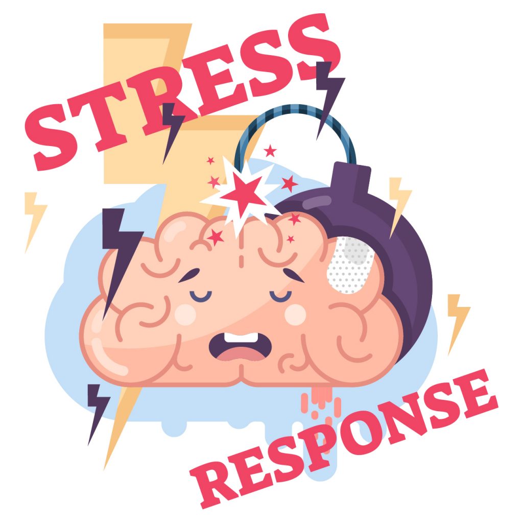 What S Stress Response